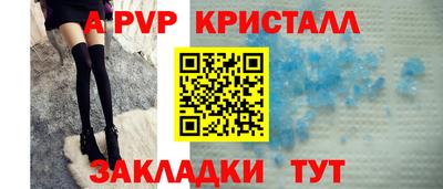 шишки Заволжье