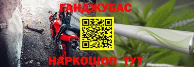 шишки Заволжье