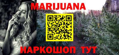 шишки Заволжье