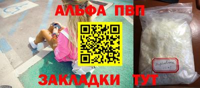 шишки Заволжье