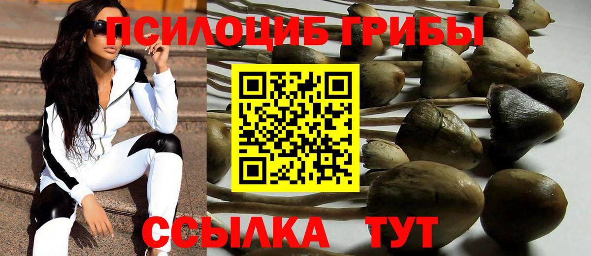 Псилоцибиновые грибы GOLDEN TEACHER Лысьва
