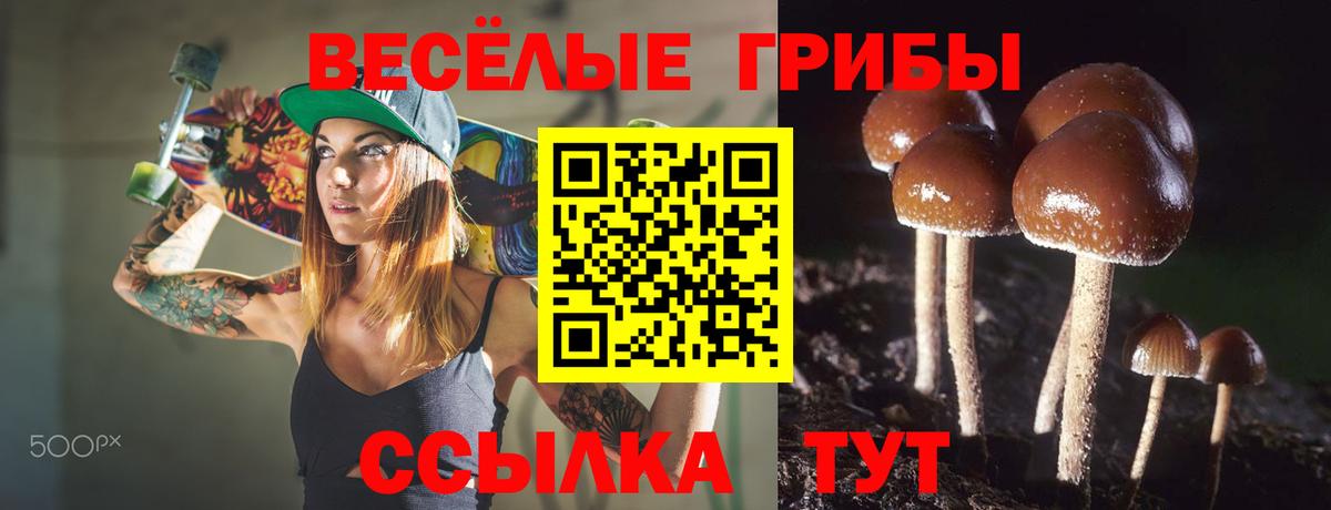 Псилоцибиновые грибы ЛСД  Вход с VPN  где найти наркотики  Лысьва  Галлюциногенные грибы мухоморы 